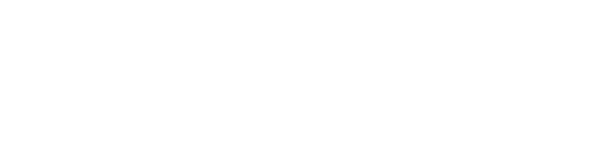 soffico_Logo_2024_weiss_RGB